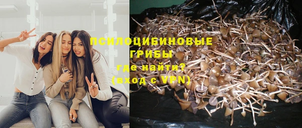 Альфа ПВП Алексин