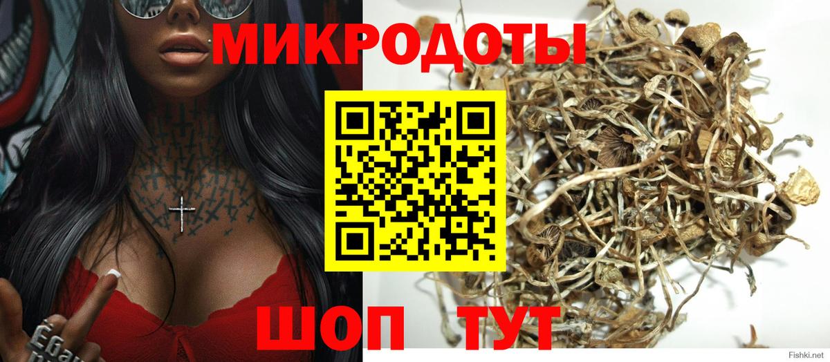 Черемхово  Галлюциногенные грибы Psilocybine cubensis  Вход с VPN 