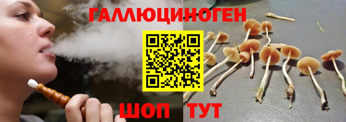 Галлюциногенные грибы Psilocybine cubensis Черемхово